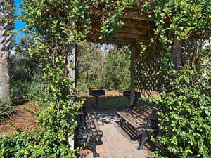 Complex Grilling Area