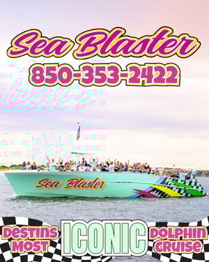 2223588 F8e62303 5309 4e8a 937c 1913a81e0a62