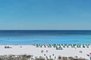 In the early morning, watch enchanting dolphins jump  play from your balcony.