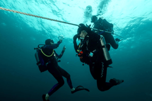 2256732 Scuba Divers Under Water