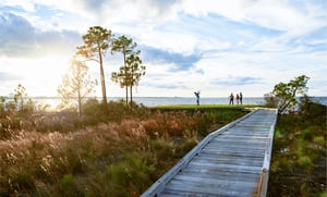 2268593 A Group Of People Walking On A Path By A Body Of Water