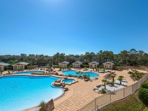 Amazing pool view