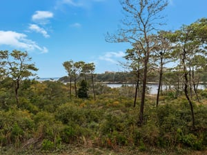 Gulf and Lake View