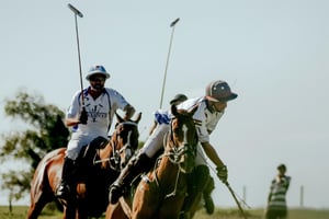 155510 Indiopoloseason