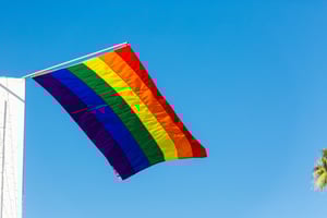 226978 Pride Flag