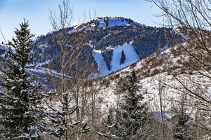 A close up of Deer Valley Resorts Bald Mountain with snow on the runs and dense evergreen trees on a bluebird day.