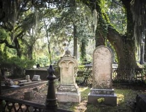 10927 Gettyimages175514988