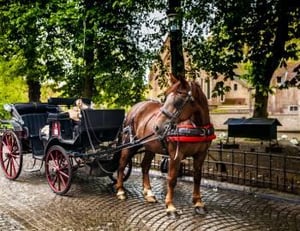 10928 Gettyimages944474494