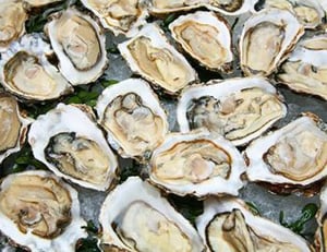 10972 Oysters