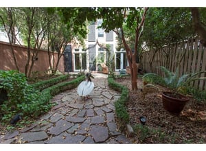 Back courtyard
