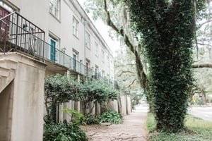 Enjoy peaceful strolls underneath treelined Gaston Street.