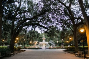 Take a morning or evening walk through the park.