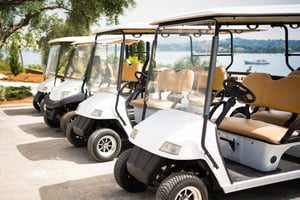 18712 Golf Carts