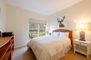 900 Bitner Rd Unit 17  Canyon Creek Club Apartments