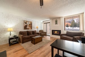 Park Avenue 1Bdrm1Bathrm Silver  living room