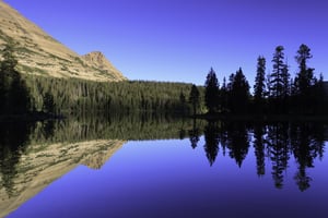 246703 Alpine Lake Mountain Reflection Pine Trees Utah Day Trips Park City