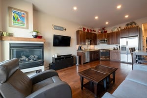 Newpark Terrace 57Living room, gas fireplace, sofabed