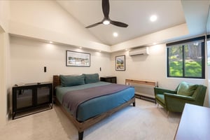 Comfortable master suite with TV and king bed