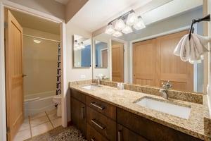 The beautifully appointed bathroom at Park Avenue 256 features a dual vanity with granite countertops, warm wood cabinetry, and a combination tub and shower — delivering the refined finishing touches