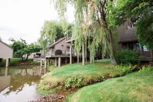 Lush, green, and absolutely serene — the summer scenery at the Payday community is simply stunning. Pay Day 183 is the Park City vacation rental where nature and comfort meet perfectly.