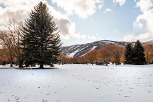 Ski runs, snowdusted fairways, and big mountain skies — the breathtaking winter views surrounding Park Avenue 251 are a daily reminder of why Park City lodging here is an experience like no other.