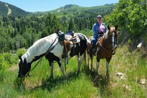 63 Horseback_redpine