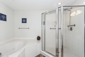The Pearl of Navarre 503 23