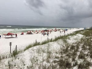 Blue Surf 17B 6
