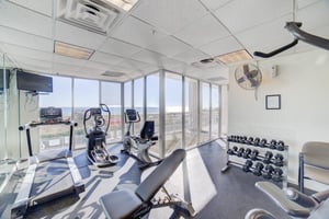 The Pearl of Navarre 102 33