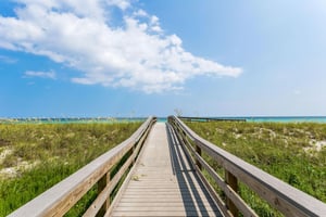 The Pearl of Navarre 1706 43