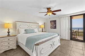 Phoenix VI 305 10