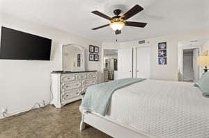 Phoenix VI 305 12