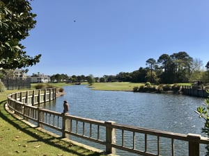 Peninsula  The Links B202 34