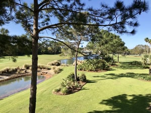 Peninsula  The Links B202 39