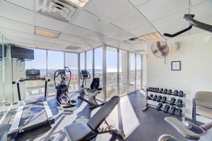 The Pearl of Navarre 303  Seas the Day 29