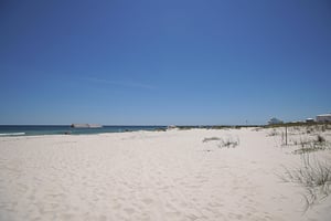Sandpiper 46