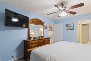 Coral Reef Club 28 14