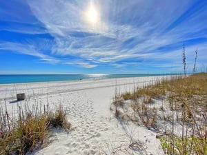 Ariola 300  Beach Music 26