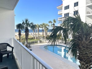 Palm Beach C22 17