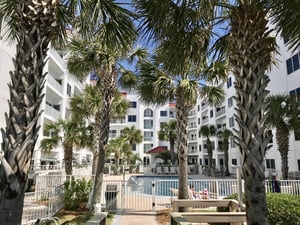 Palm Beach C22 22