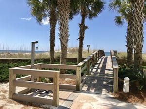 Palm Beach C22 25