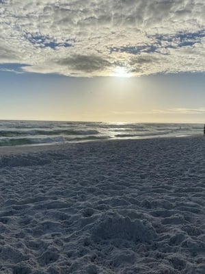 Blue Surf 15B 29