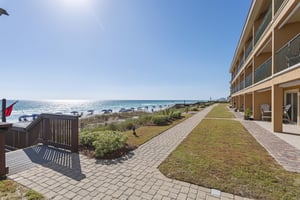 Coral Reef Club 08 22