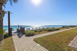 Coral Reef Club 08 23