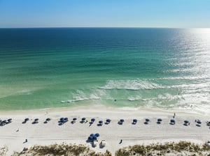 Coral Reef Club 08 34