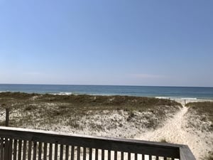Coggeshall  Pet Friendly 36