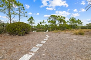 Paradise Found 34