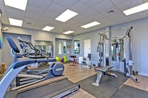 South Harbour 7E 31
