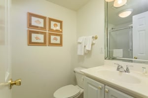 Seahorse Unit B 8
