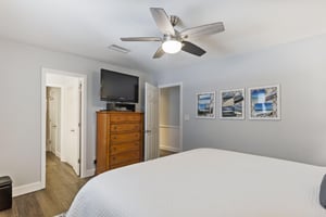 Coral Reef Club 33 12